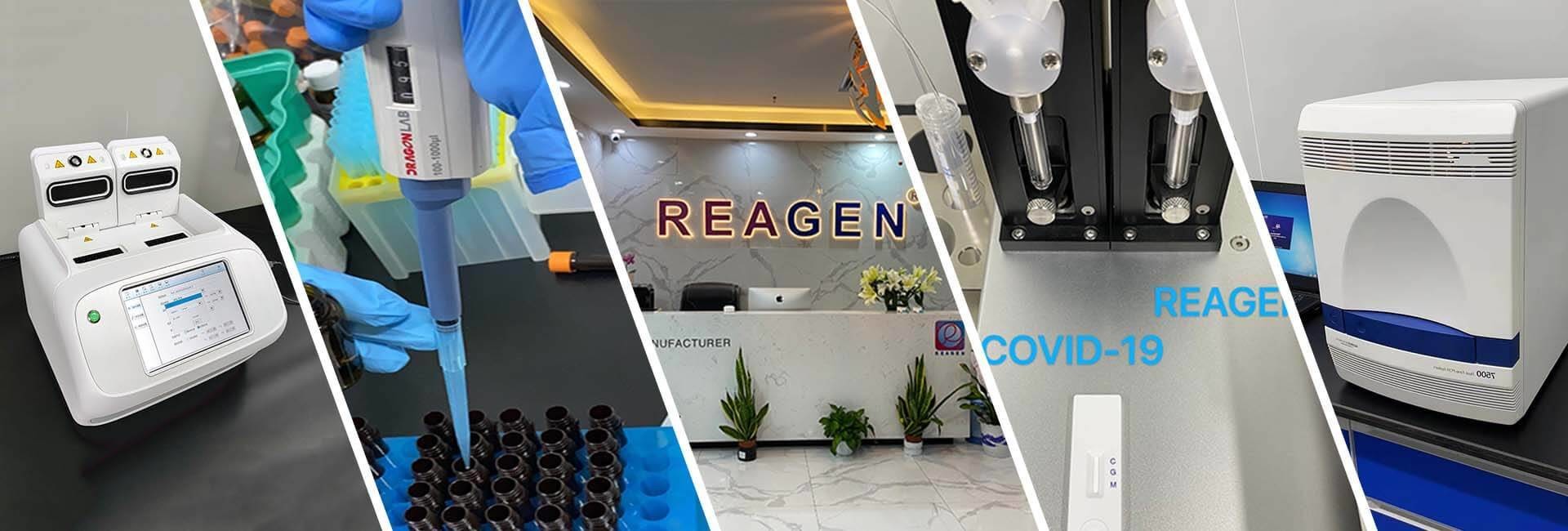 quality Mycotoxin ELISA Kit factory