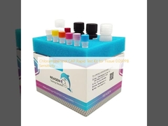 Chloramphenicol CAP Rapid Test Kit for Tissue 0.05PPB Sensitivity