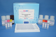 Drug testing  Ampicillin  ELISA Test Kit