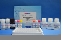 Ampicillin ELISA Test Kit 0.4ppb Sensitivity Quantitative Analysis For Milk Urine Tissue