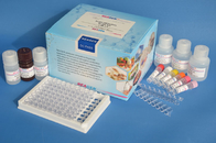 Ampicillin ELISA Test Kit 0.4ppb Sensitivity Quantitative Analysis For Milk Urine Tissue