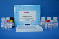 plasmid DNA  Kanamycin Fine Test Elisa Kit high repetitive