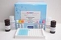 Plasmid DNA Kanamycin Fine Test Elisa Kit High Repetitive 90% Accuracy
