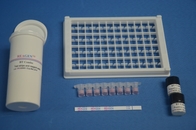 Milk Sulbactam ELISA Test Kit Short Testing Time High Sensitivity