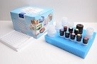 Milk Sulbactam ELISA Test Kit Short Testing Time High Sensitivity