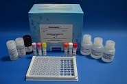 Cell Lysis Gentamicin ELISA Test Kit Boxes 0.02 Ng/G High Sensitivity