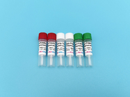 PCR High-Fidelity DNA Polymerase