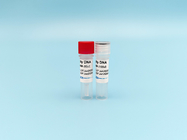 PCR High-Fidelity DNA Polymerase