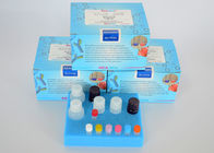 Terbutaline ELISA Test Kit , used for food safety , color packing