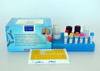 Accurate Estrogen ELISA kit Trenbolone ELISA Testing Kit For Meat Fish Shrimp Sample