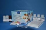 Aflatoxin 40min 0.05ng/G Colorimetric Mycotoxin ELISA Kit