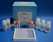 Kanamycin ELISA Test Kit Drug Plasmid Detection With TMB Substrate