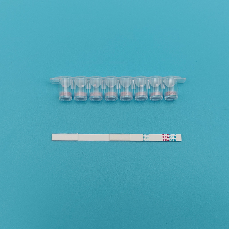 Swift Accurate Dairy Milk Testing Kit High Accuracy Kanamycin Strip