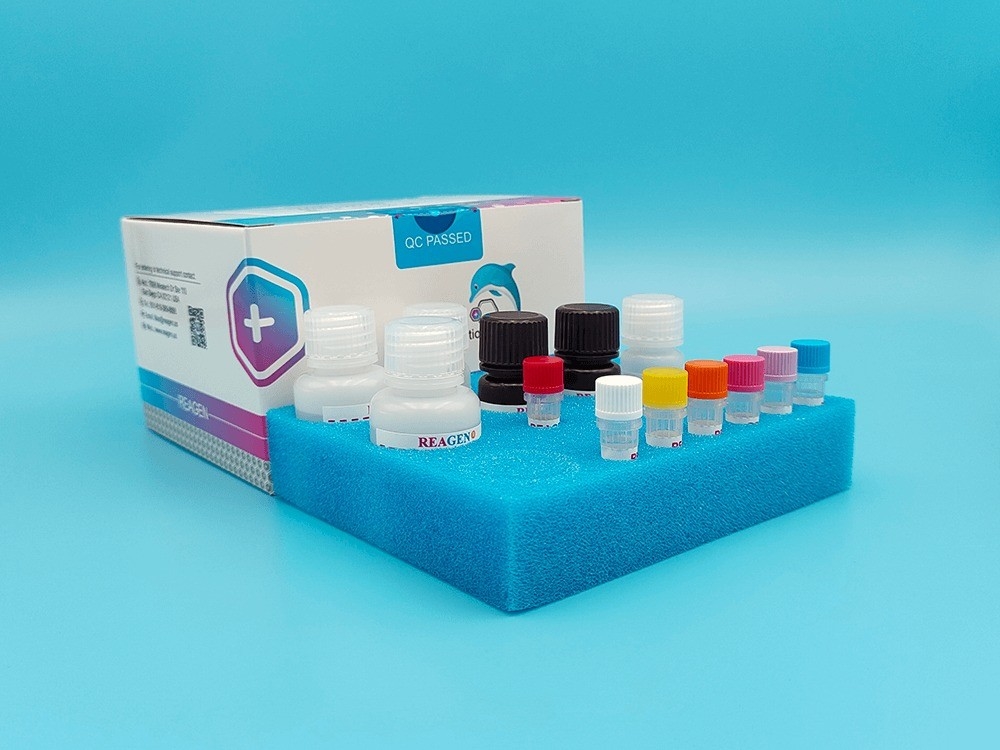 Versatile Dairy Test Kit for SmallScale Dairy Product Analysis