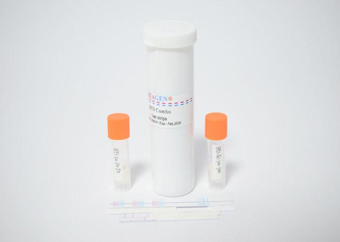 Strip Test Kit Manufacturing Technical Training Support Export Bubiness