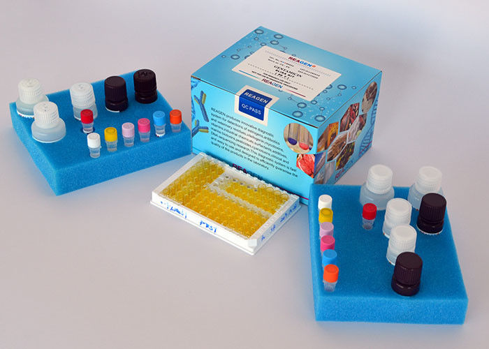 High Accurate Beta-Lactam ELISA Testing Kit , 96 Test Food Safety Testing Kits