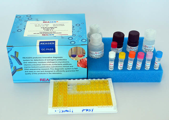 Laboratory Research Estrogen ELISA kit Hydrocortisone ELISA Test Kit