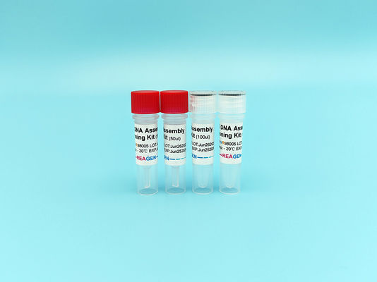 HiFi DNA Assembly Cloning Kit